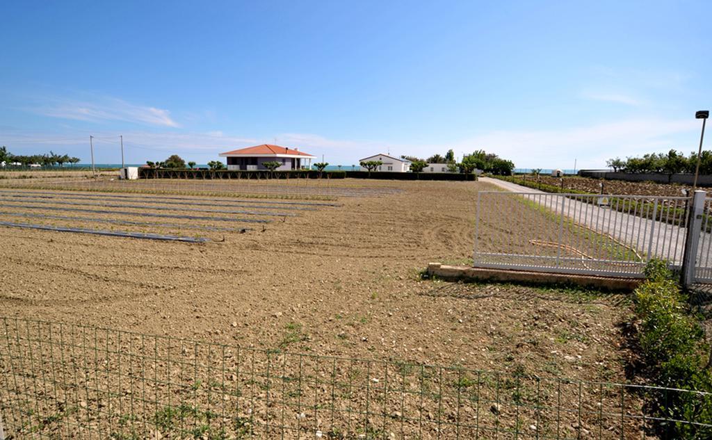 Agriturismo Frontemare 길라노바리도 외부 사진